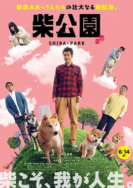 岛国电影在线观看