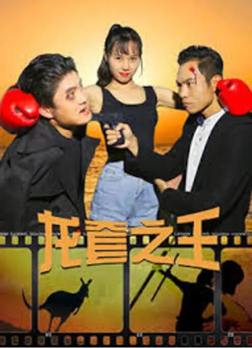 金瓶悔扬思敏版在线观看