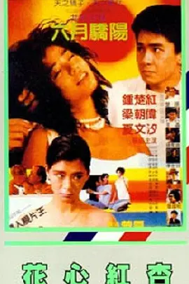 亚洲欧美视频一级