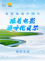 剧烈摇床运动网站