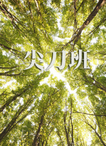 一级毛片免费全部播放完整