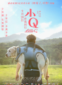 日韩在线专区