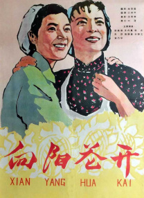 潘金莲一级乳片