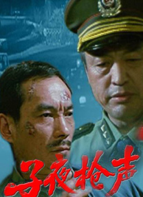 日本成人不卡视频