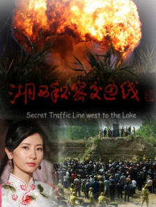 国产精品久久久久9999高清