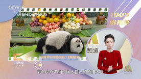 邻居的诱惑