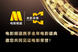 欧美精品亚洲精品日韩传电影